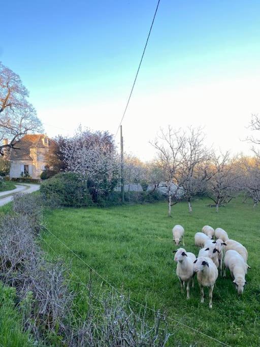 La Grangette De Paunac Cazillac Dış mekan fotoğraf