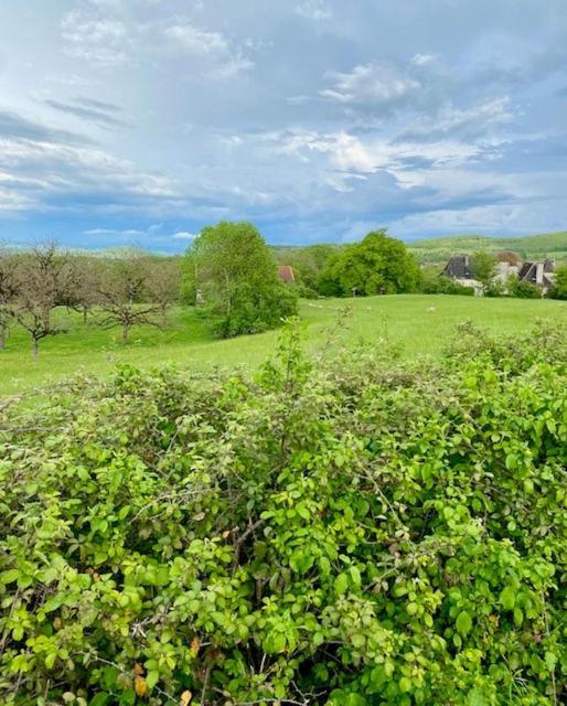 La Grangette De Paunac Cazillac Dış mekan fotoğraf